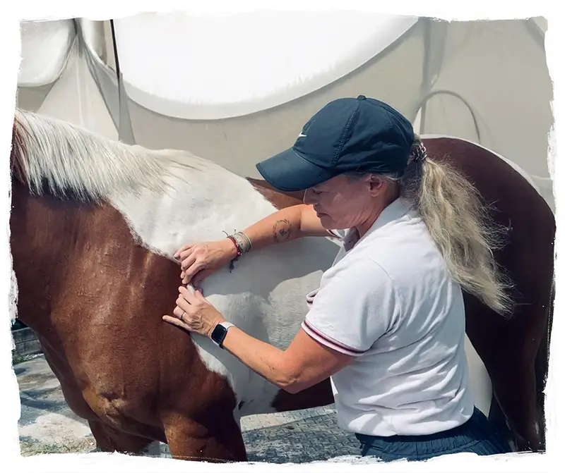 Dr. Saa owner of Horse-Apeutics treating a horse in Wellington, Florida Dr. Saa owner of Horse-Apeutics treating a horse in Wellington, Florida